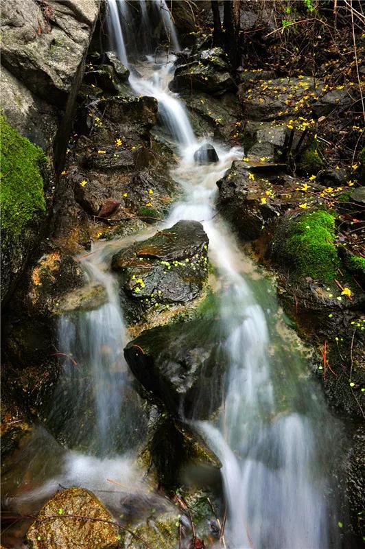媲美四川九寨沟！山东这些地方野趣十足，承包夏天90%的清凉！