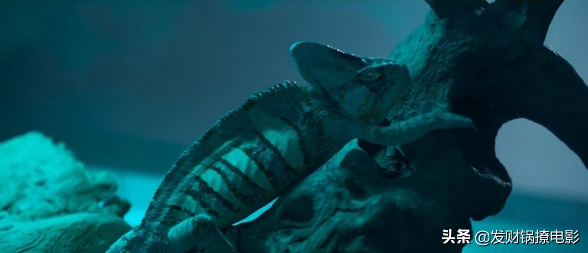 韩国经典悬疑系列,韩国悬疑推荐全程高能