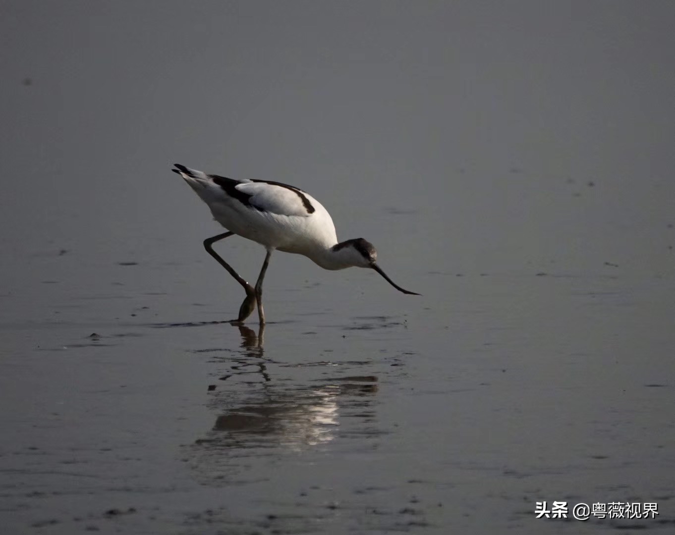 乘着地铁看海,乘地铁逛深圳