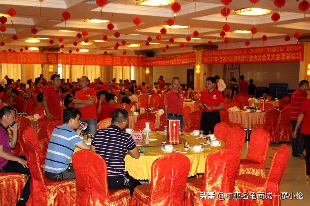 沙琅龟协会,沙琅乌龟协会