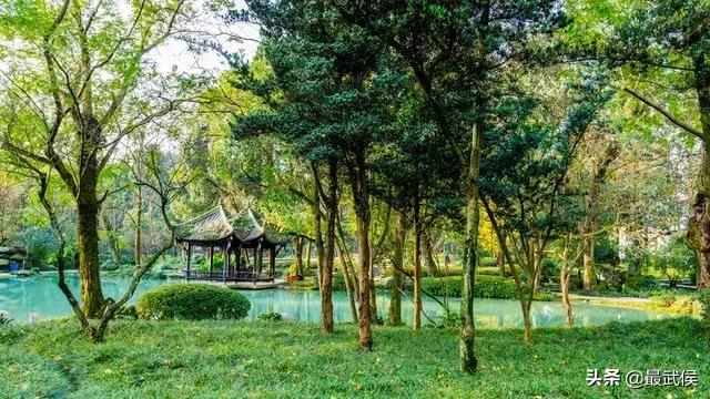 世警会入场式,世警会场地介绍