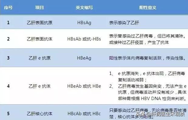 一分钟看懂乙肝两对半报告,怎样看乙肝两对半化验单的数值