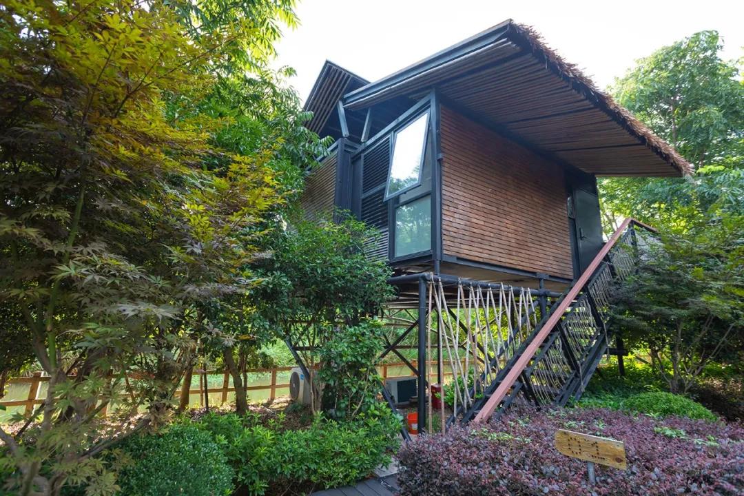 吸睛“鸟巢”上线！感受童话田园生活，来度假区这家露营地就对啦