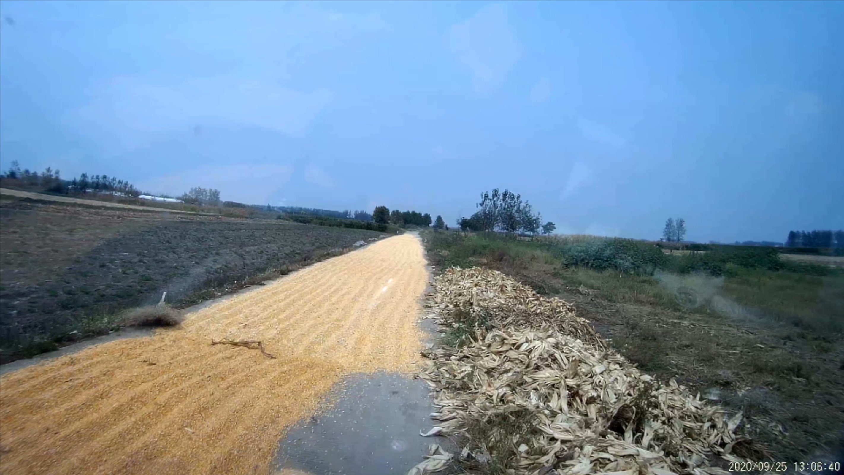 俞伯牙墓为什么在固镇,俞伯牙墓出土