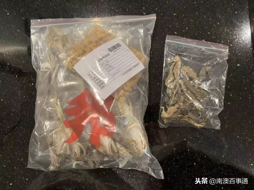 去港澳的汕头人注意！这些东西不要再带回来了！已有人被抓……
