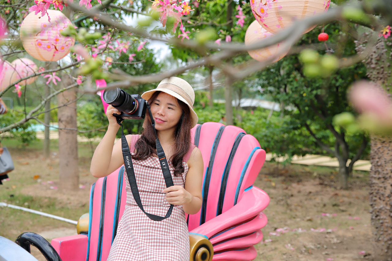 广州粉色浪漫花海,广东秋天粉色花海