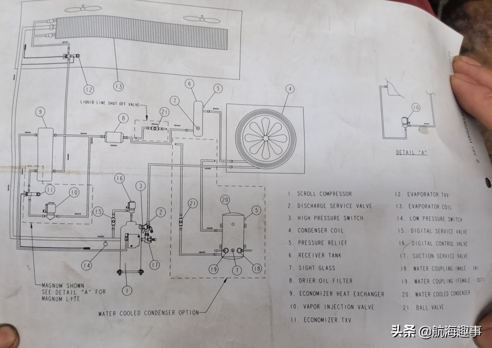 航海故事视频,航海王故事内容