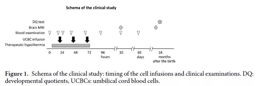 脐带血干细胞治疗肝硬化最新消息,脐带血可以治疗缺氧缺血性脑病嘛