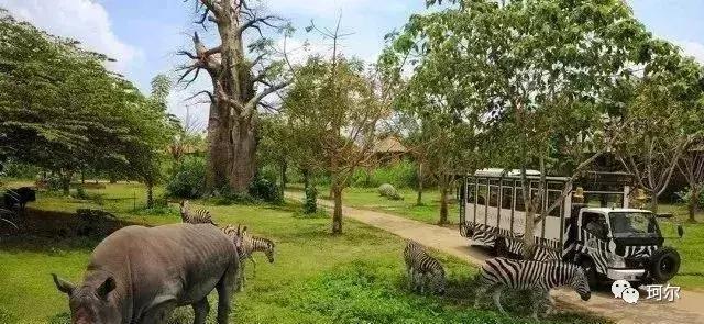 2020年中牟县发展规划,中牟县的趋势