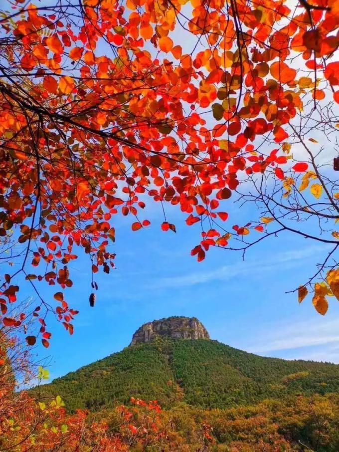 山东自驾游最佳旅游路线发布,山东自驾旅游攻略最全最好的线路