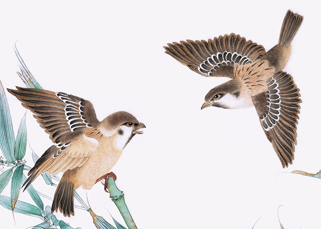 水仙花国画花鸟画图片欣赏,中国画花鸟画背景图片大全