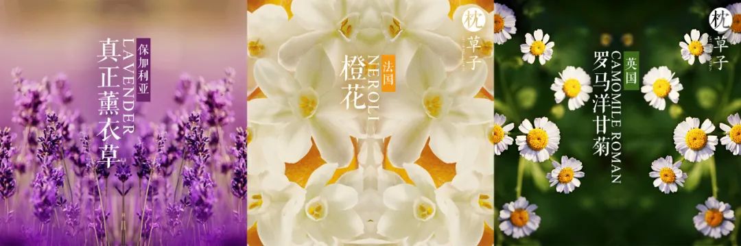 为什么精油可以丰山根,精油为什么可以淡化细纹