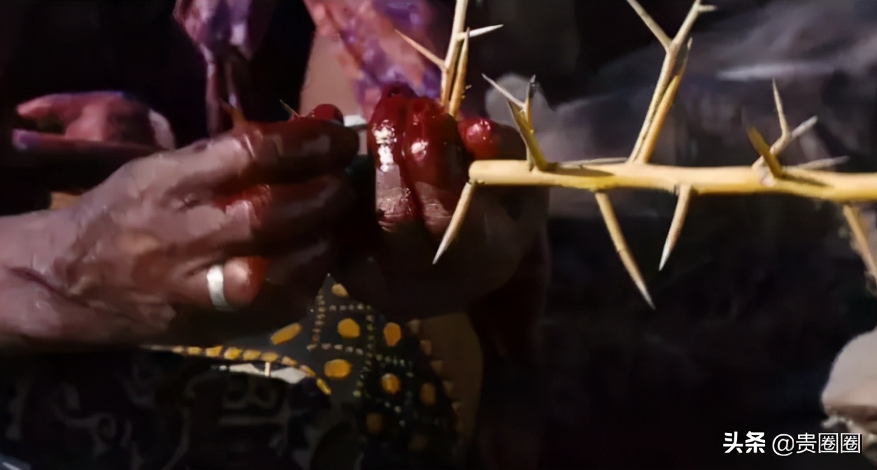 非洲黑人超模，曾被性侵、割礼、逼婚，却活出璀璨人生