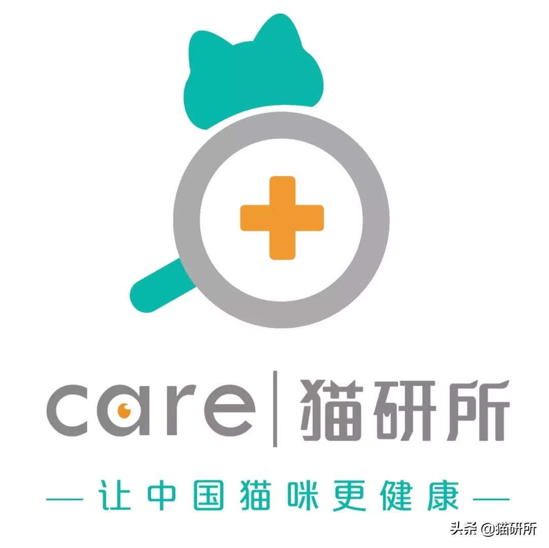 猫咪接种后精神不好应该注意什么,猫咪接种疫苗后腹泻怎么办