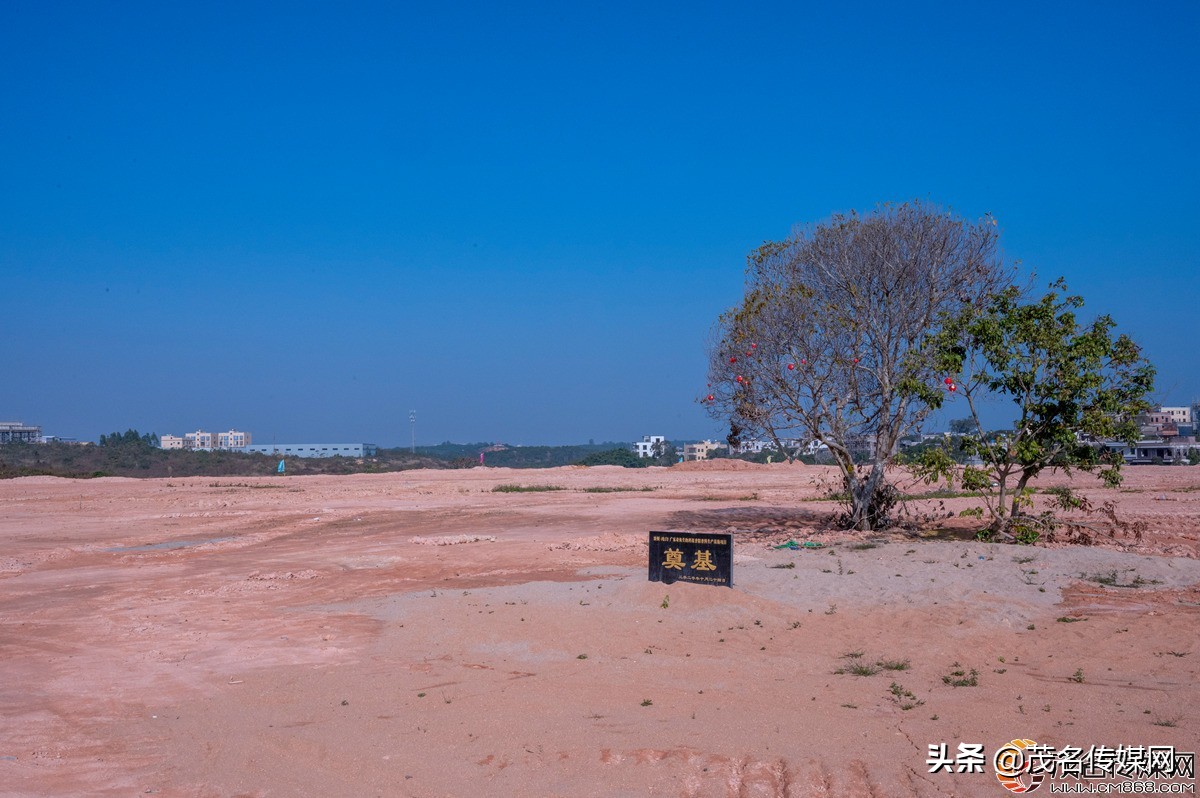 电白在崛起！——2021网络媒体看滨海（电白）采风活动