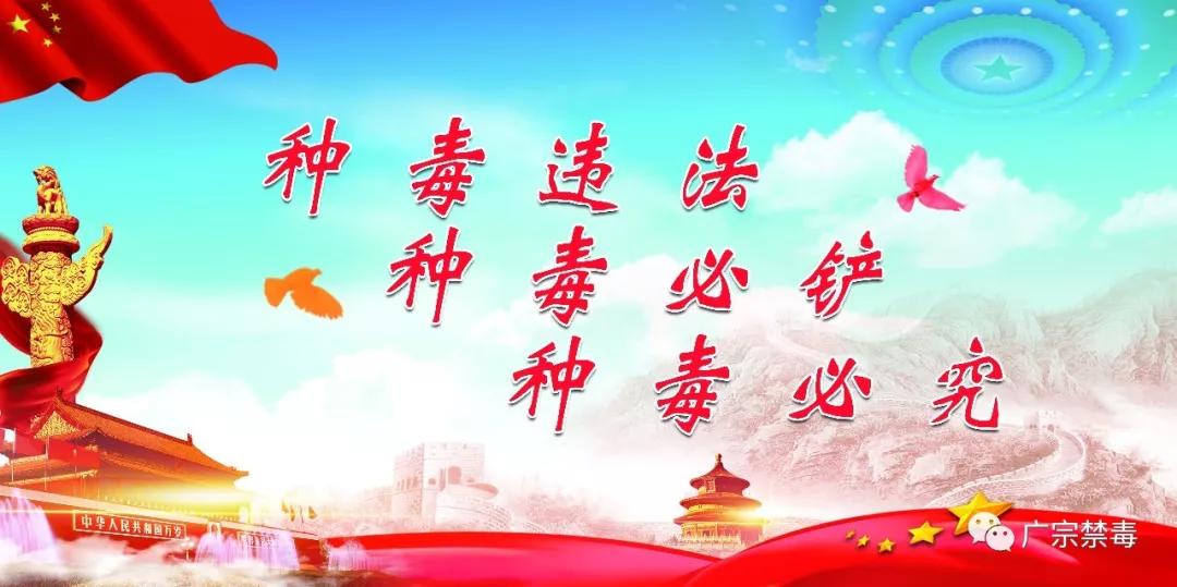 高压力青年群体网购“聪明药”须警惕