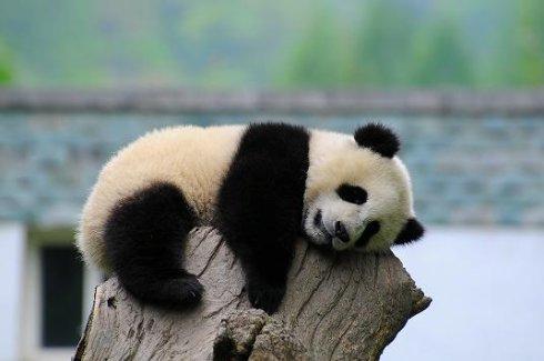 如何说好话找别人借钱,跟人家借钱怎么说好话