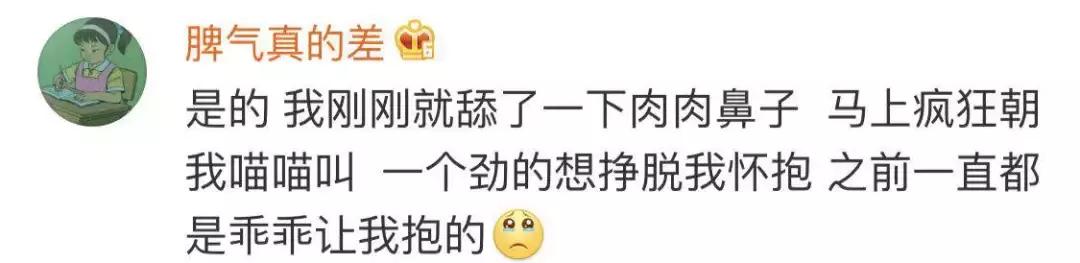 如果舔猫一口猫会怎样,猫猫能舔到全身吗