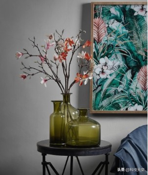 鎭掓偊瑁呴グ璁捐,杞瀹跺眳瀹氬埗妗堜緥鍒嗕韩