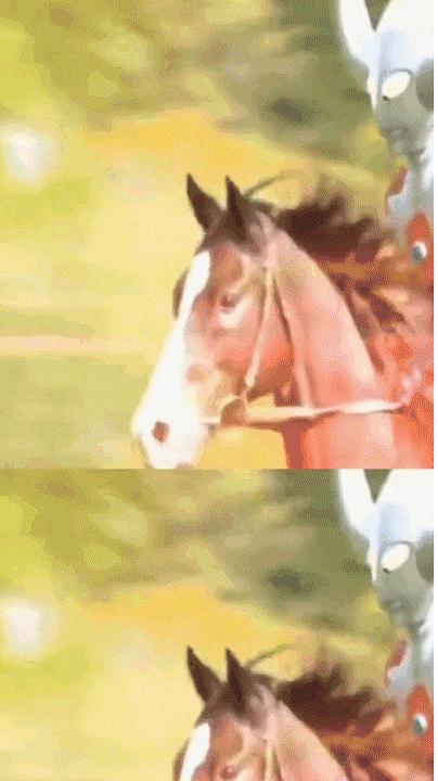 为什么汉武帝派遣张骞出使西域,汉武帝为何派张骞出使西域