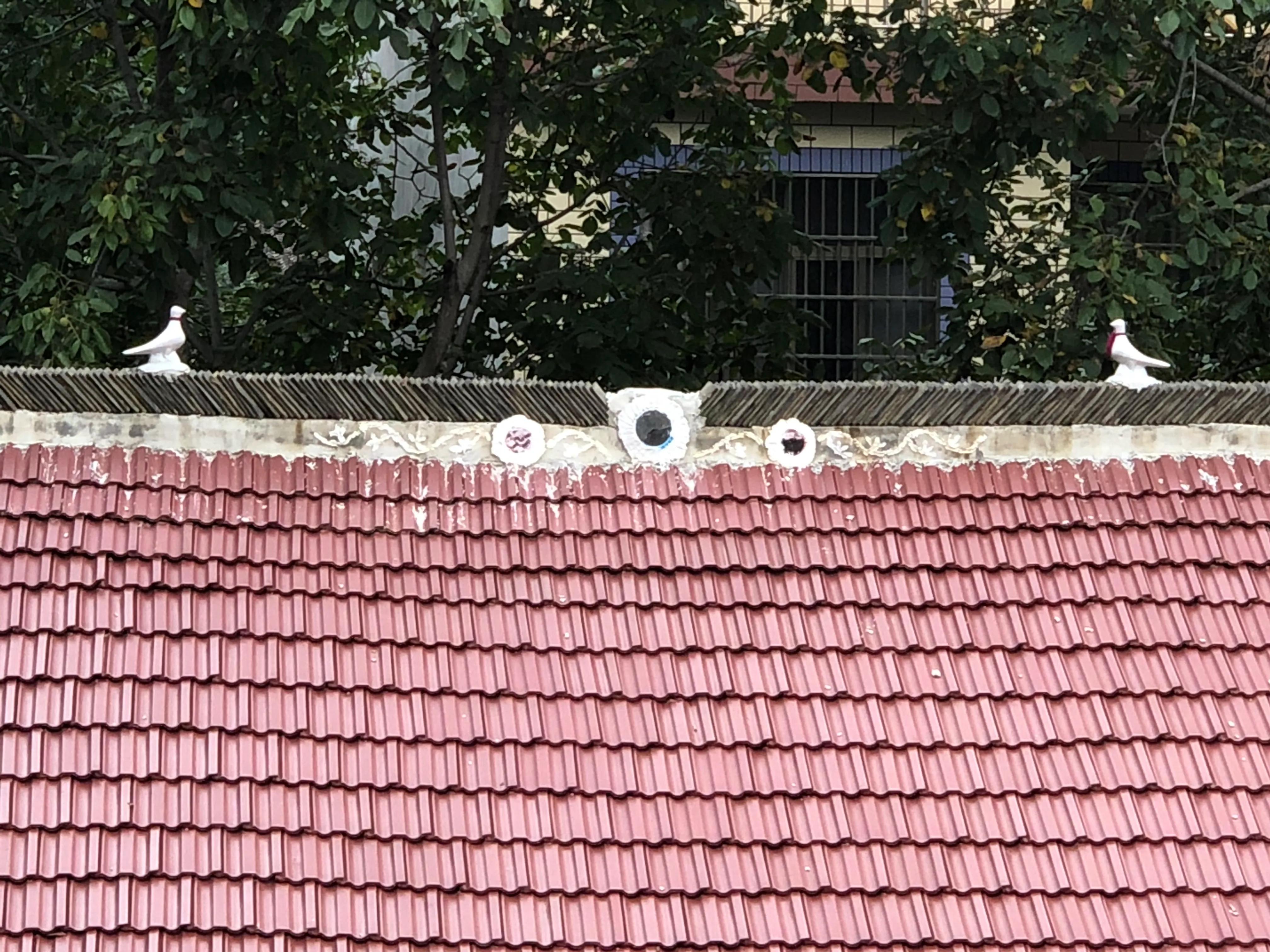 太阳鸟图腾设计,太阳鸟图腾