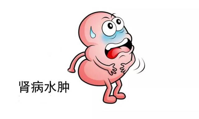 水肿的常见原因有哪些呢,水肿的常见原因