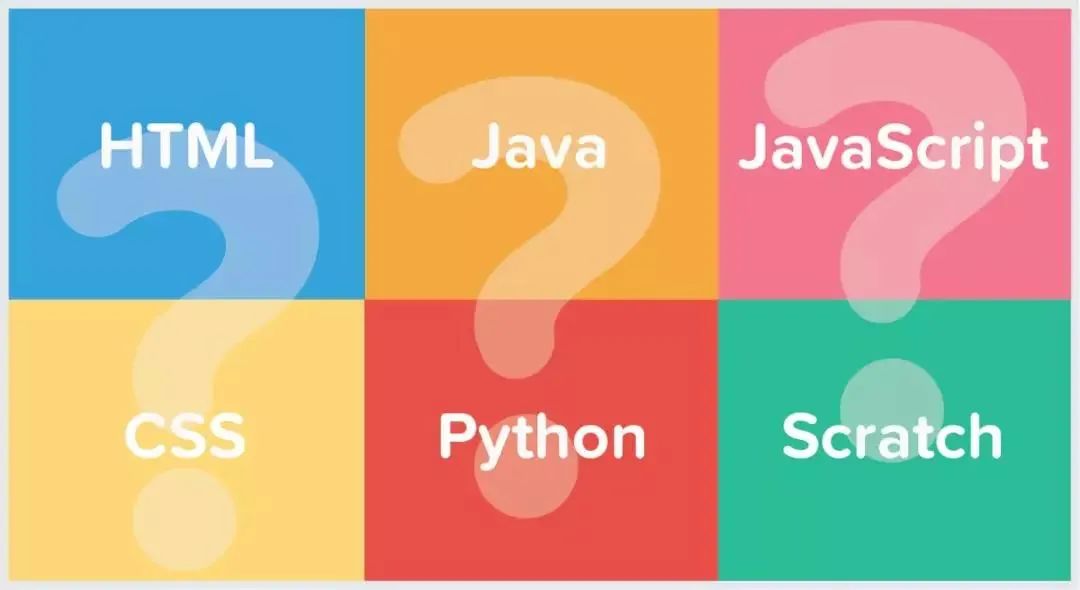 只靠拔尖，是对枫杨外国语最大的误解，综合内容才是学校的根基！