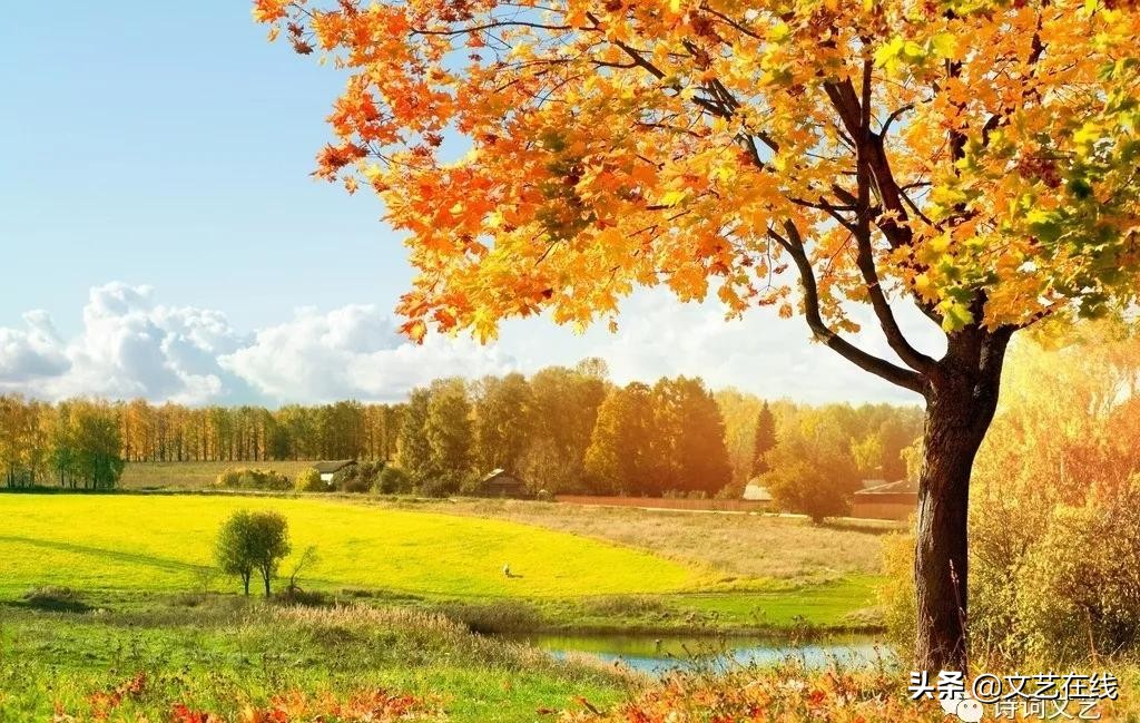 中国诗词大会描写秋天的诗句,诗词秋天朗诵大气