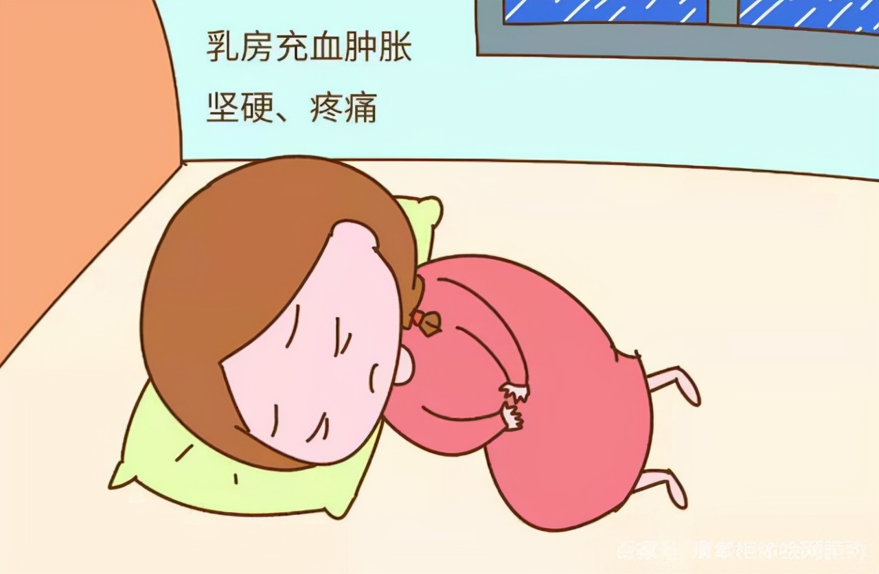 是不是整个孕期都有早孕反应,孕期第二周有什么反应