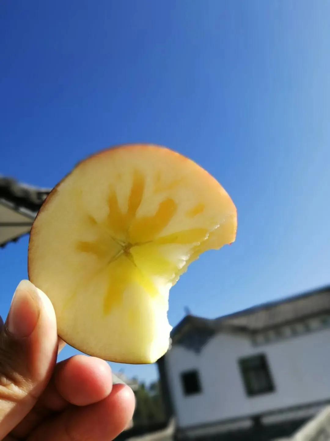 一家三口在大理租房,一家三口的田园生活