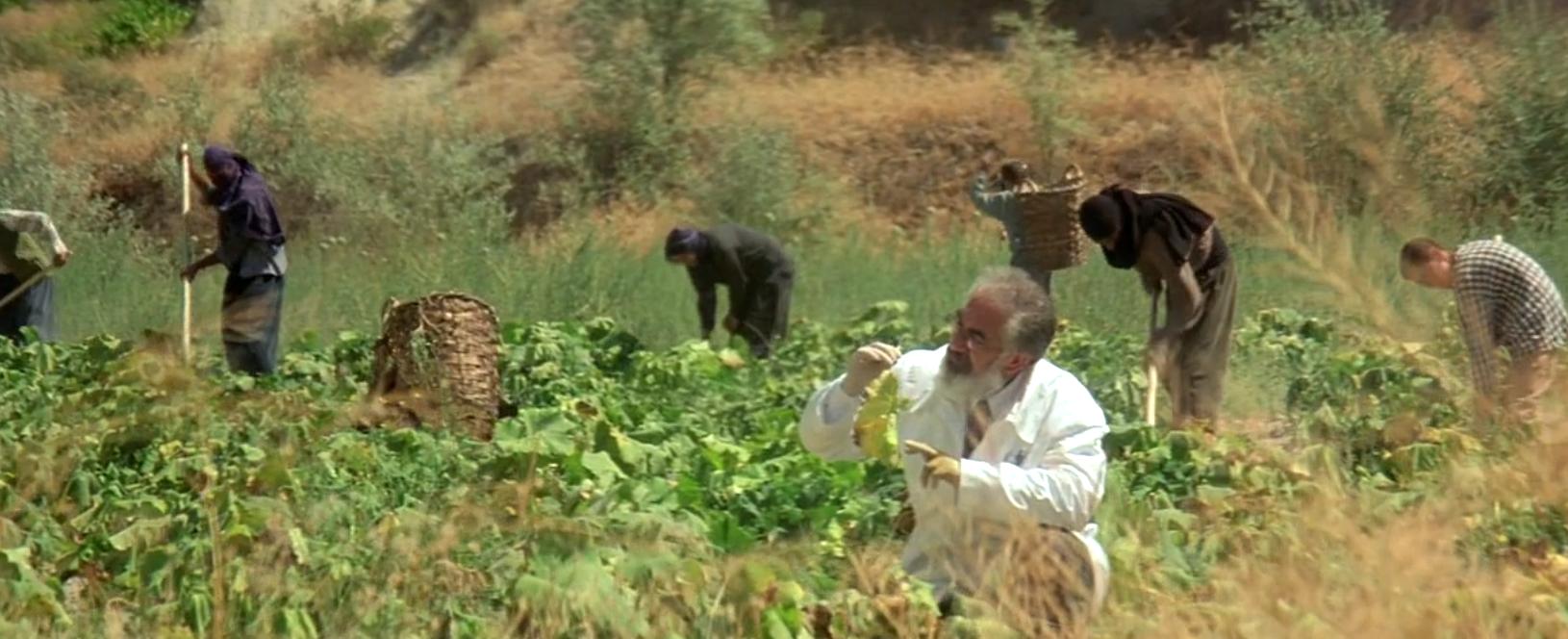 特务迷城专访陈德森,陈德森谈特务迷城