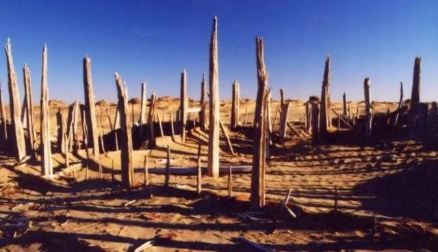 中国和印度崛起相比谁更有优势 (中国崛起对印度好处)