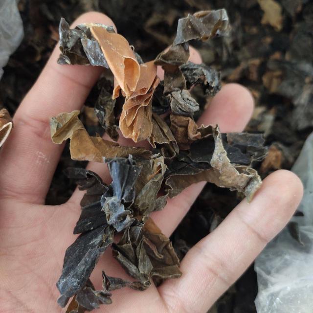 甲状腺肿大怎么治疗,甲状腺弥漫性肿大甲状腺功能正常