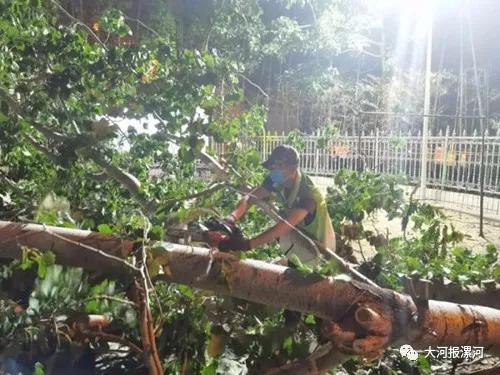树倒墙塌人被困…漯河突发多起事故，交警城管紧急出动