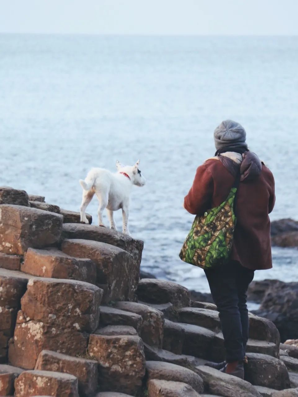 你知道世界最美的地方在哪里吗,欣赏世界上最美的80个地方