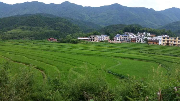 （37）长沙堎印象