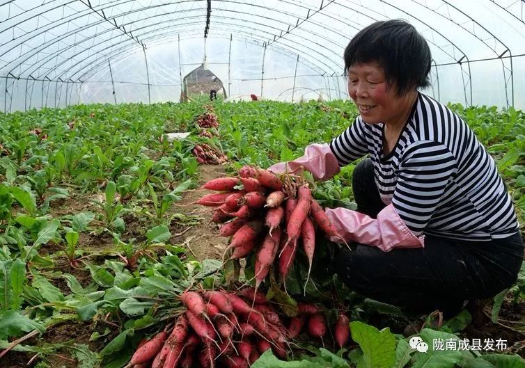 我叫成县，这是我2019年的自拍照~