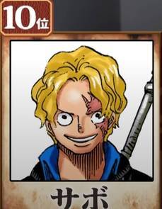 海贼王全球范围全角色投票,海贼王全球全角色人气大投票