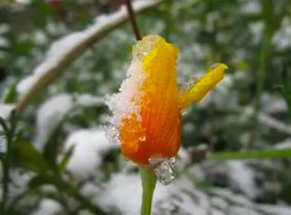 友友们一定要看,紧急看!