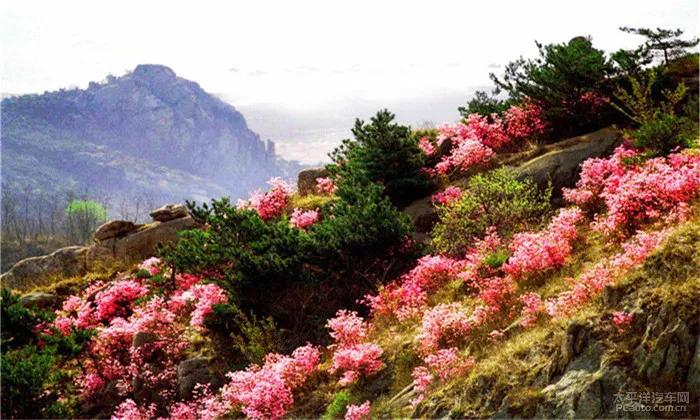 胶南市和黄岛区,胶南卓越西海岸