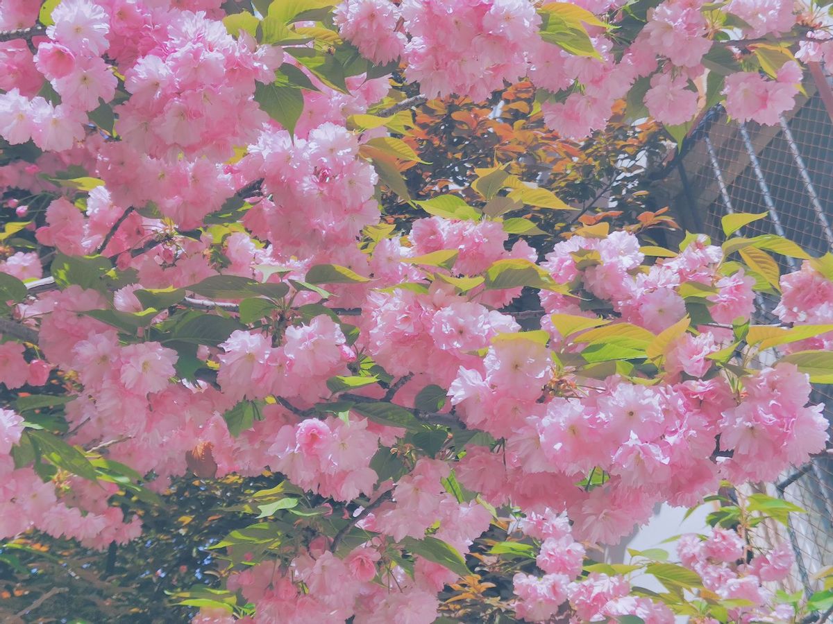 十二星座怎么评价自己,十二星座在别人眼里的看法列表