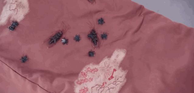 元旦在日本抢福袋有多赚？帮你省出往返机票钱