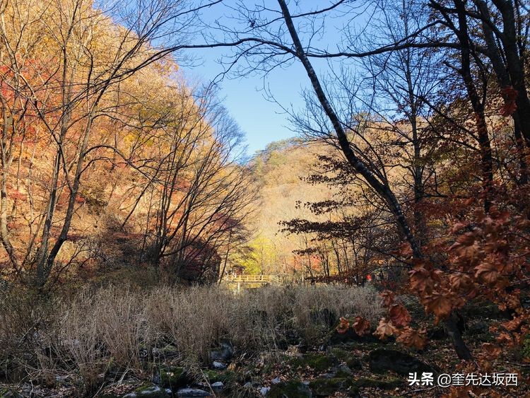 秋天的散文作文,秋天的诗歌随笔