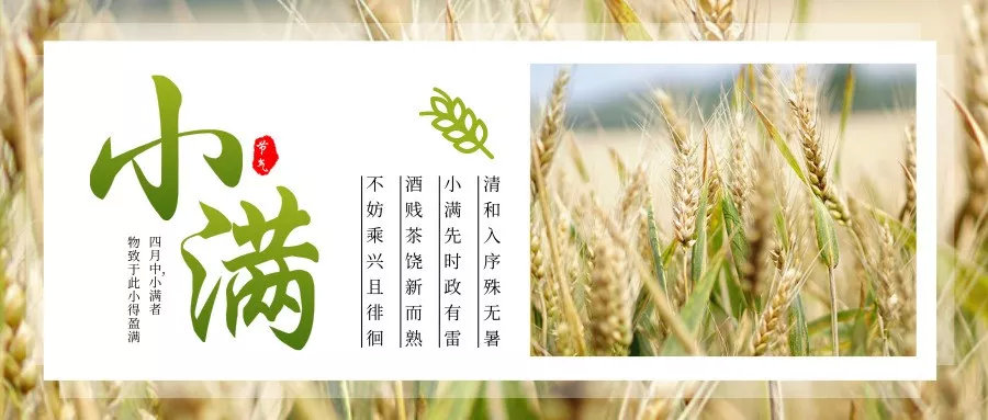 小满清热解暑食物,小满补脾祛湿消暑吃什么