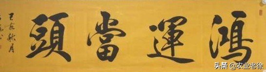 经销商怎么做自己的品牌,经销商如何选择适合自己的品牌