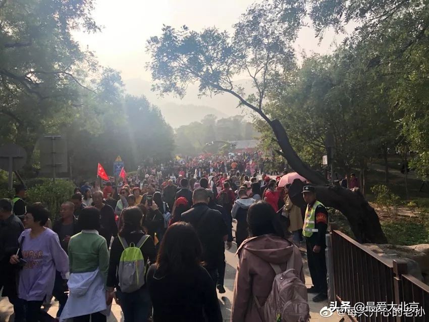 香山红叶几月去最好香山用预约吗,去北京香山看红叶别去爬山吗