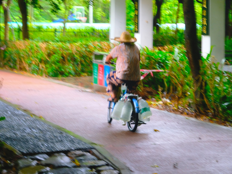 云浮南山森林公园锦鸡,云浮南山森林公园航拍