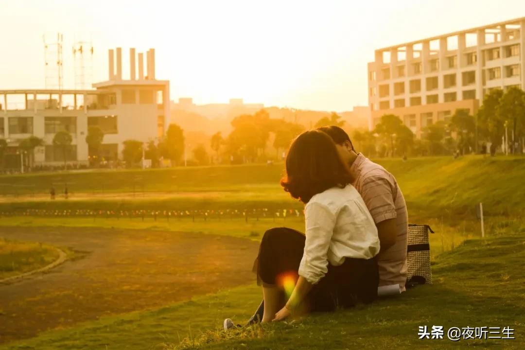 「夜听」人如玫瑰，身上要长些刺