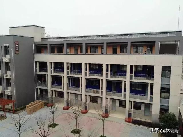 上海浦东新区一流一类小学排名,上海教育新趋势