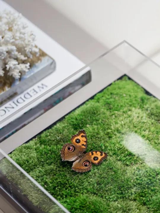 绵阳东原启城三期118装修,东原启城绵阳